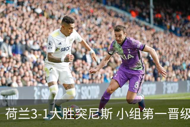 荷兰3-1大胜突尼斯 小组第一晋级淘汰赛将战摩洛哥